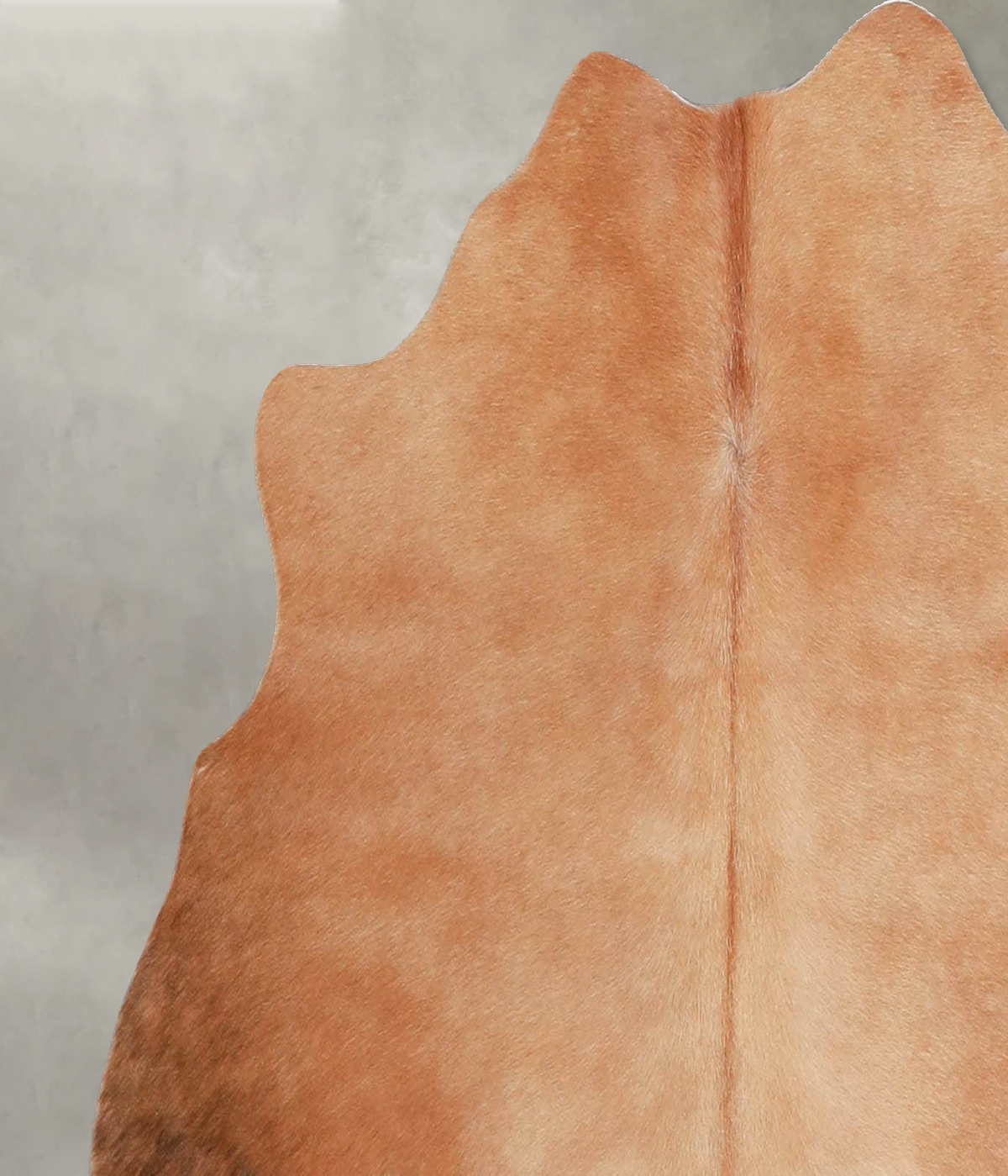 Light Caramel Medium Brazilian Cowhide Rug 3'8"H x 4'3"W #A55685 by Hudson Hides