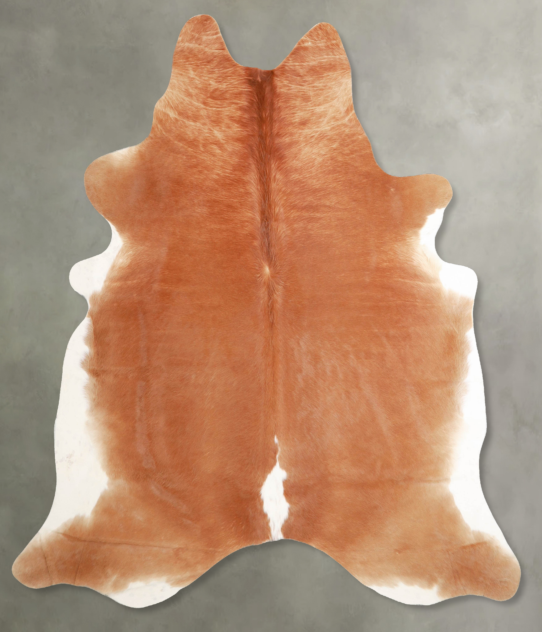 Brown and White Regular Cowhide Rug #A55687