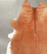 Brown and White Regular X-Large Brazilian Cowhide Rug 6'10"H x 6'0"W #A55687 by Hudson Hides