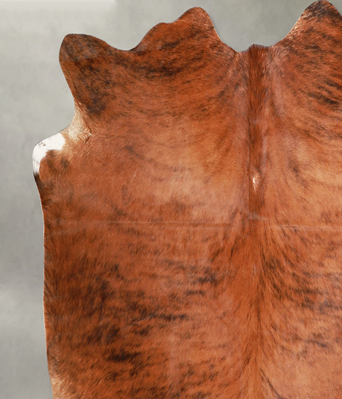 Medium Brindle Large Brazilian Cowhide Rug 5'9"H x 6'7"W #A55693 by Hudson Hides