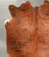 Medium Brindle Large Brazilian Cowhide Rug 5'9"H x 6'7"W #A55693 by Hudson Hides