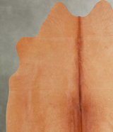 Solid Brown Medium Brazilian Cowhide Rug 5'8"H x 5'3"W #A55696 by Hudson Hides