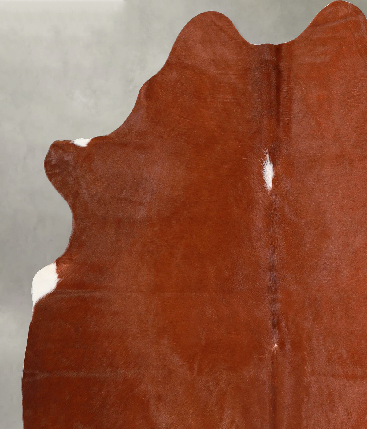 Solid Brown Large Brazilian Cowhide Rug 6'7"H x 5'8"W #A55697 by Hudson Hides