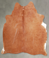 Solid Brown Medium Brazilian Cowhide Rug 5'8"H x 5'3"W #A55699 by Hudson Hides