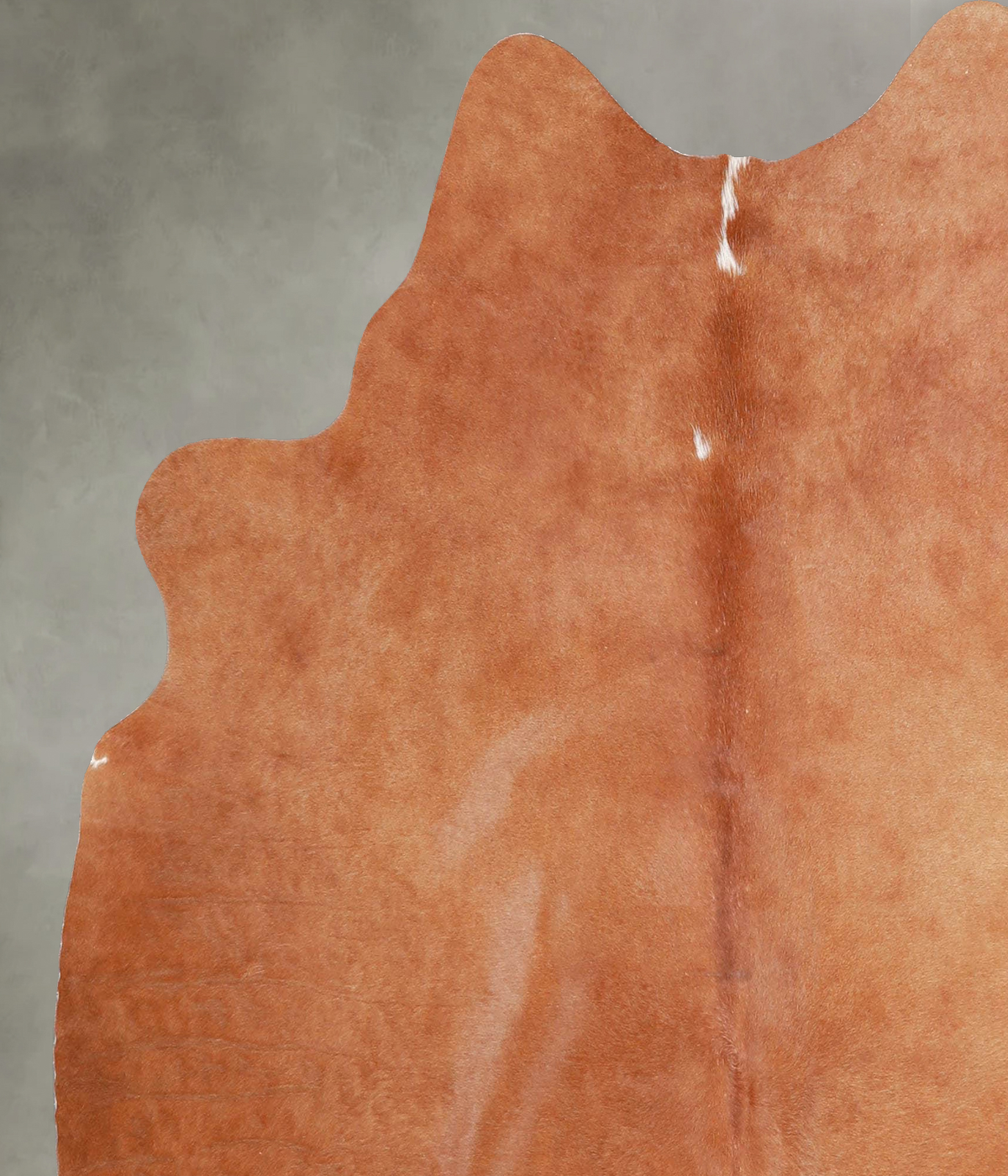 Solid Brown Medium Brazilian Cowhide Rug 5'8"H x 5'3"W #A55699 by Hudson Hides
