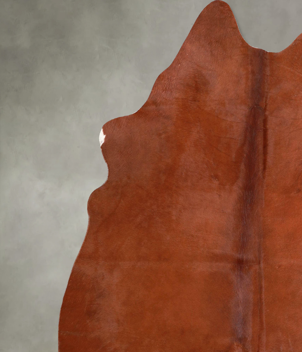 Solid Brown Large Brazilian Cowhide Rug 5'11"H x 5'3"W #A55700 by Hudson Hides