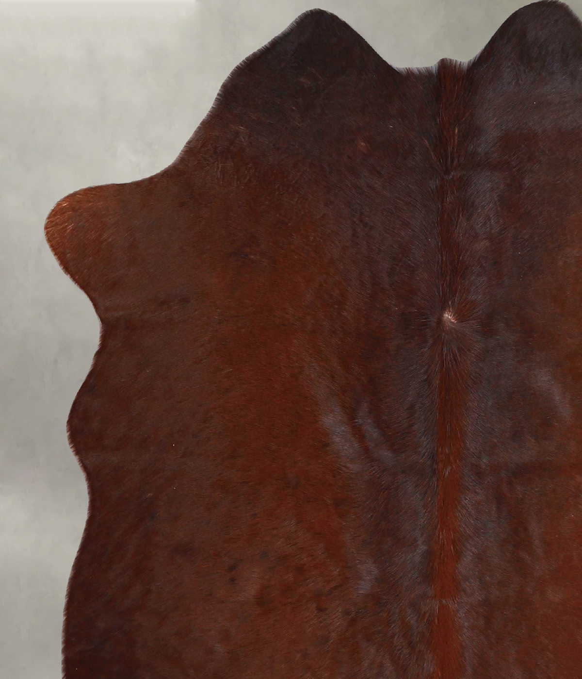 Warm Caramel Medium Brazilian Cowhide Rug 5'4"H x 4'7"W #A55702 by Hudson Hides