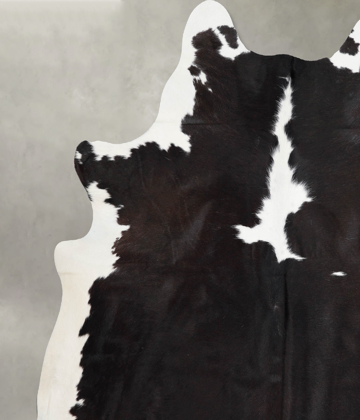 Chocolate and White X-Large Brazilian Cowhide Rug 6'11"H x 6'7"W #A55706 by Hudson Hides