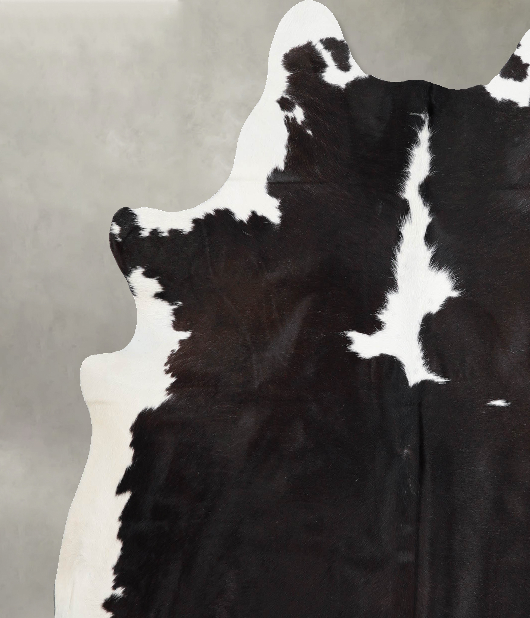 Chocolate and White Cowhide Rug #A55706