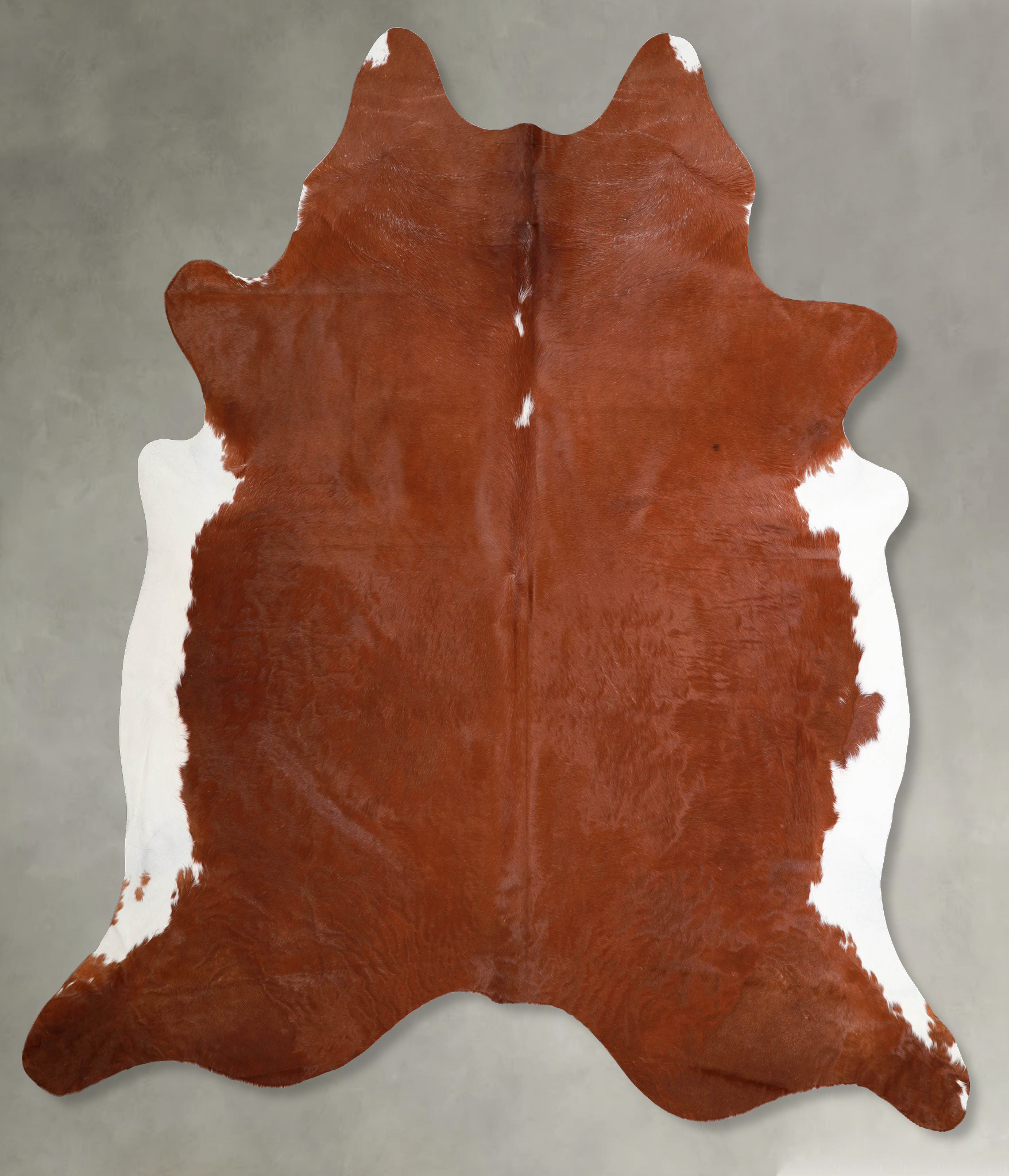 Brown and White Regular Cowhide Rug #A55707
