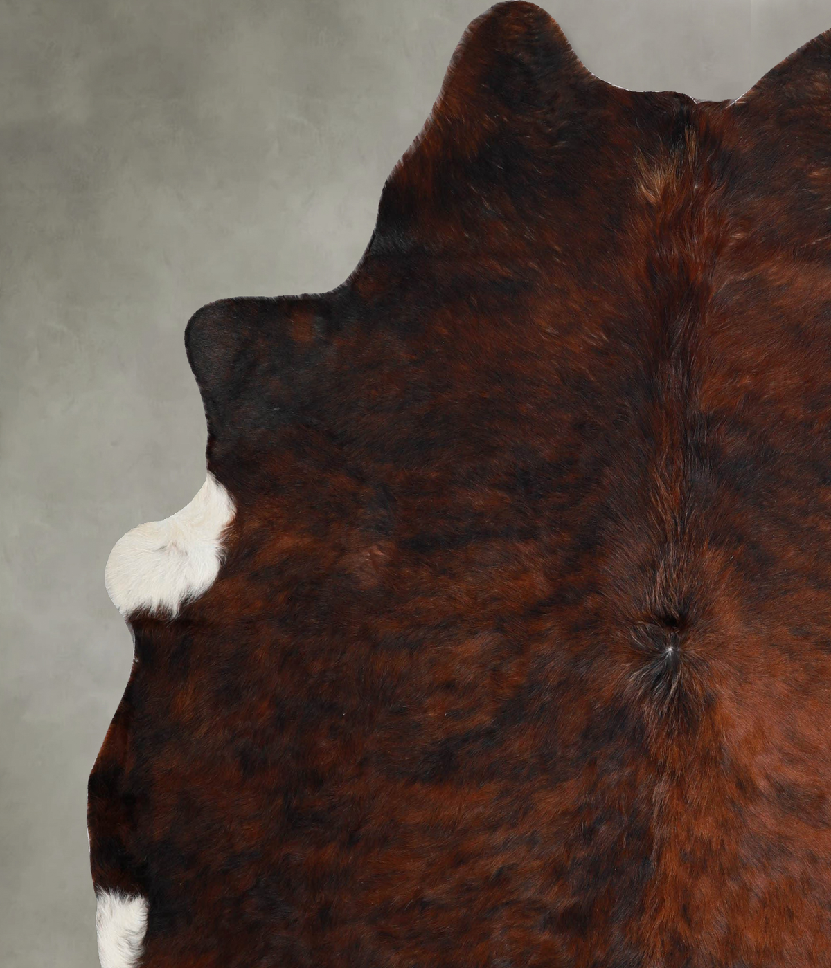 Dark Brindle X-Large Brazilian Cowhide Rug 6'11"H x 6'2"W #A55708 by Hudson Hides