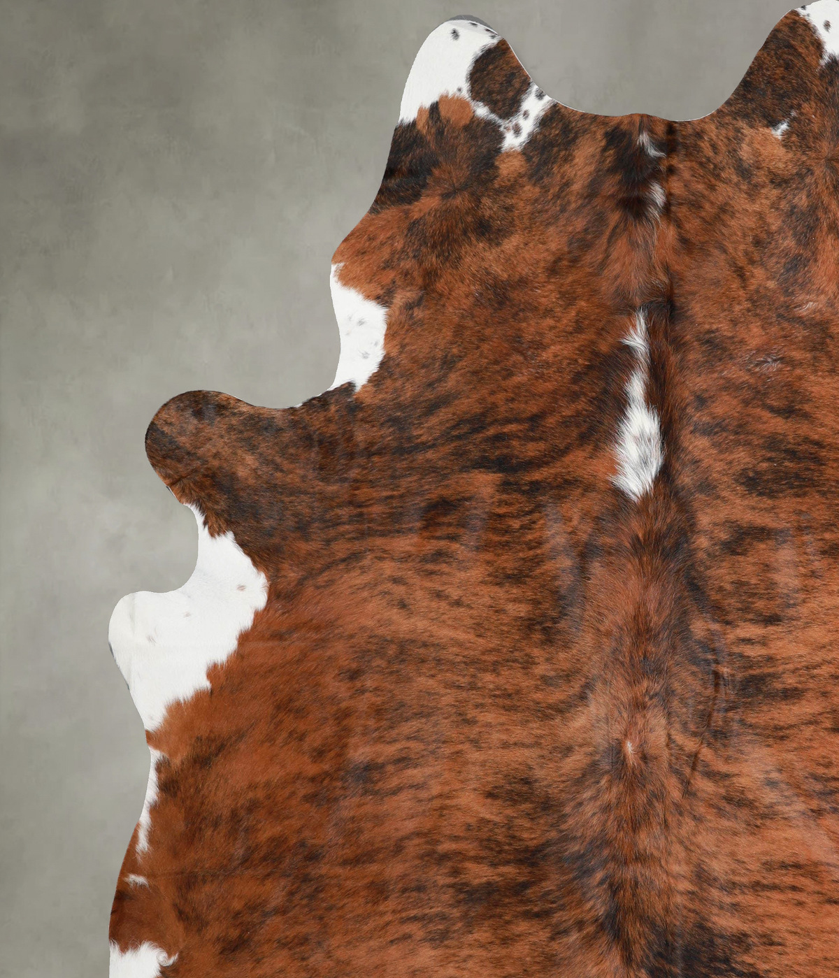 Medium Brindle XX-Large Brazilian Cowhide Rug 7'10"H x 7'1"W #A55709 by Hudson Hides
