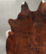 Medium Brindle X-Large Brazilian Cowhide Rug 7'2"H x 6'11"W #A55723 by Hudson Hides