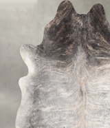 Grey Brindle X-Large Brazilian Cowhide Rug 6'7"H x 6'6"W #A55731 by Hudson Hides