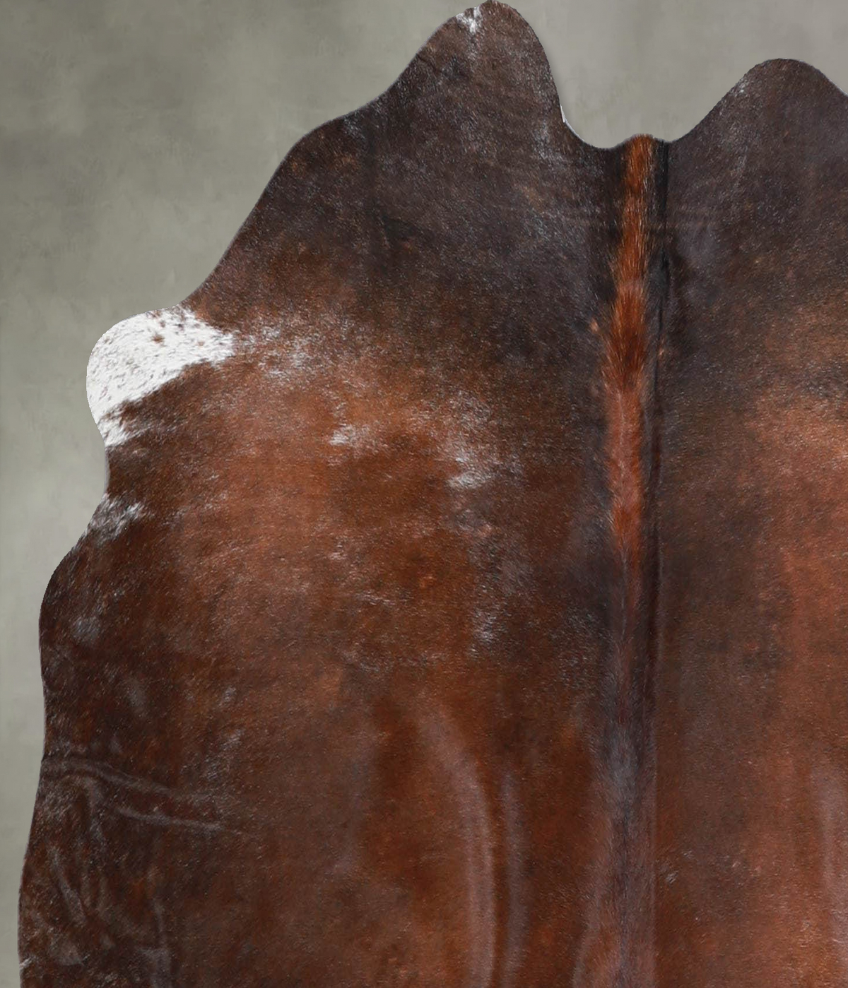 Chocolate and White Medium Brazilian Cowhide Rug 4'4"H x 4'6"W #A55742 by Hudson Hides
