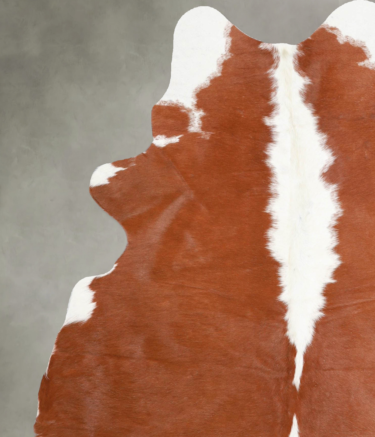 Hereford Medium Brazilian Cowhide Rug 6'0"H x 4'7"W #A55745 by Hudson Hides