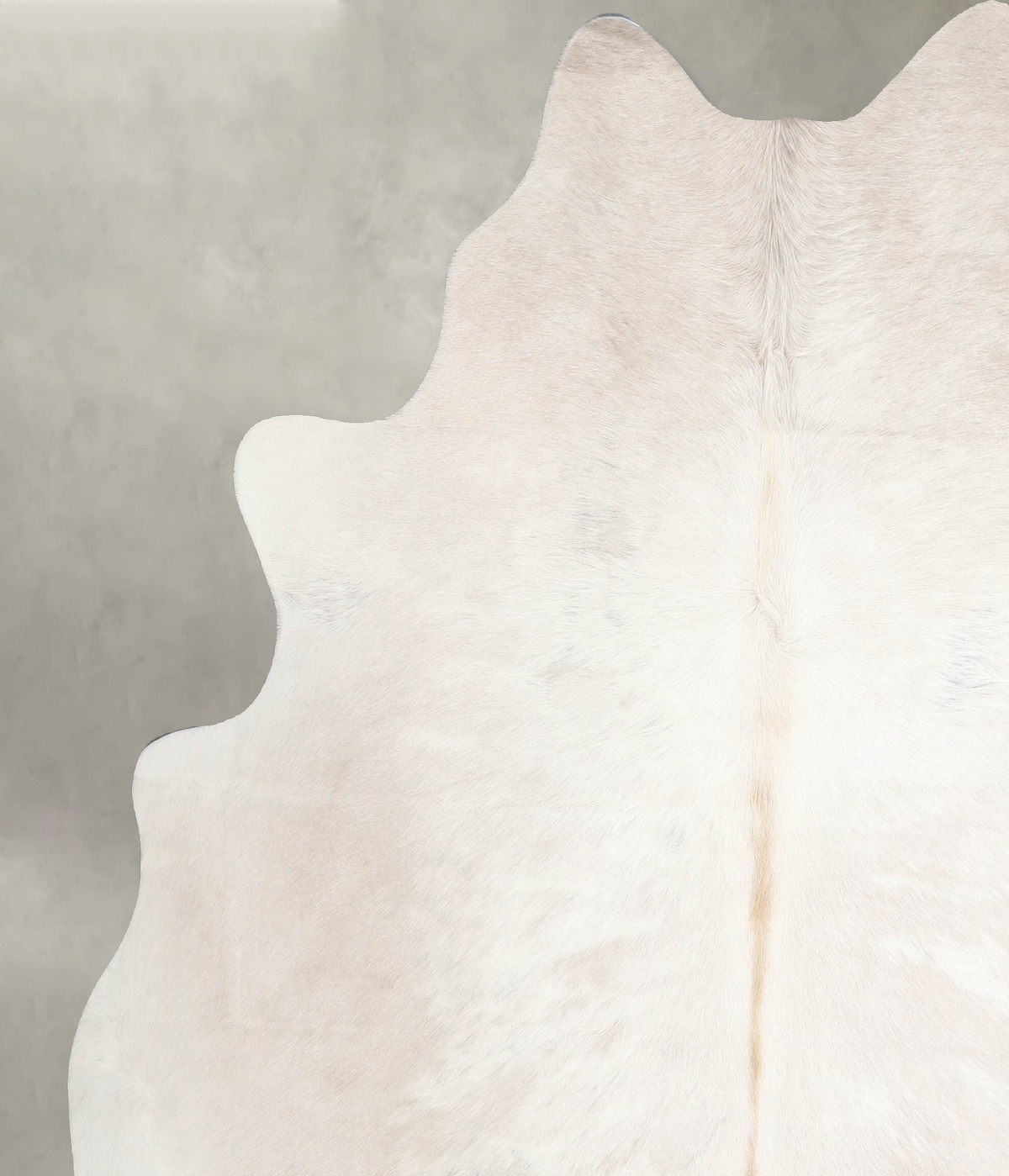 Champagne X-Large Brazilian Cowhide Rug 6'9"H x 6'1"W #A55766 by Hudson Hides