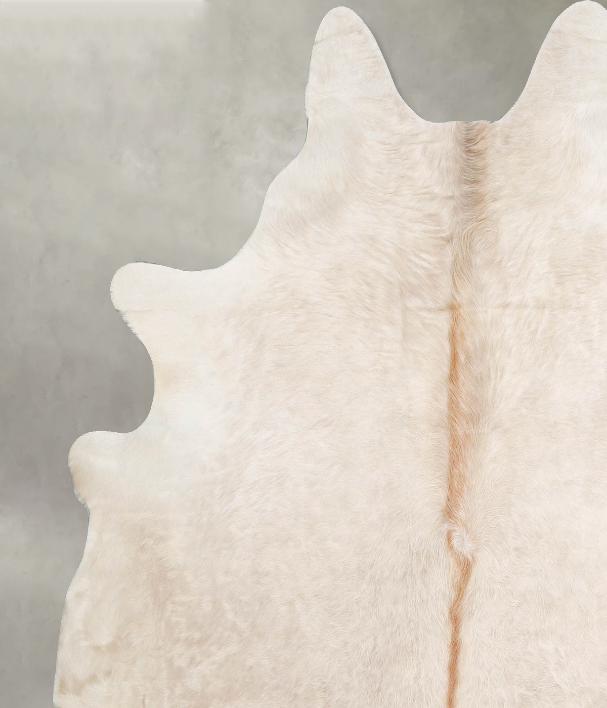 Champagne X-Large Brazilian Cowhide Rug 7'0"H x 6'5"W #A55768 by Hudson Hides