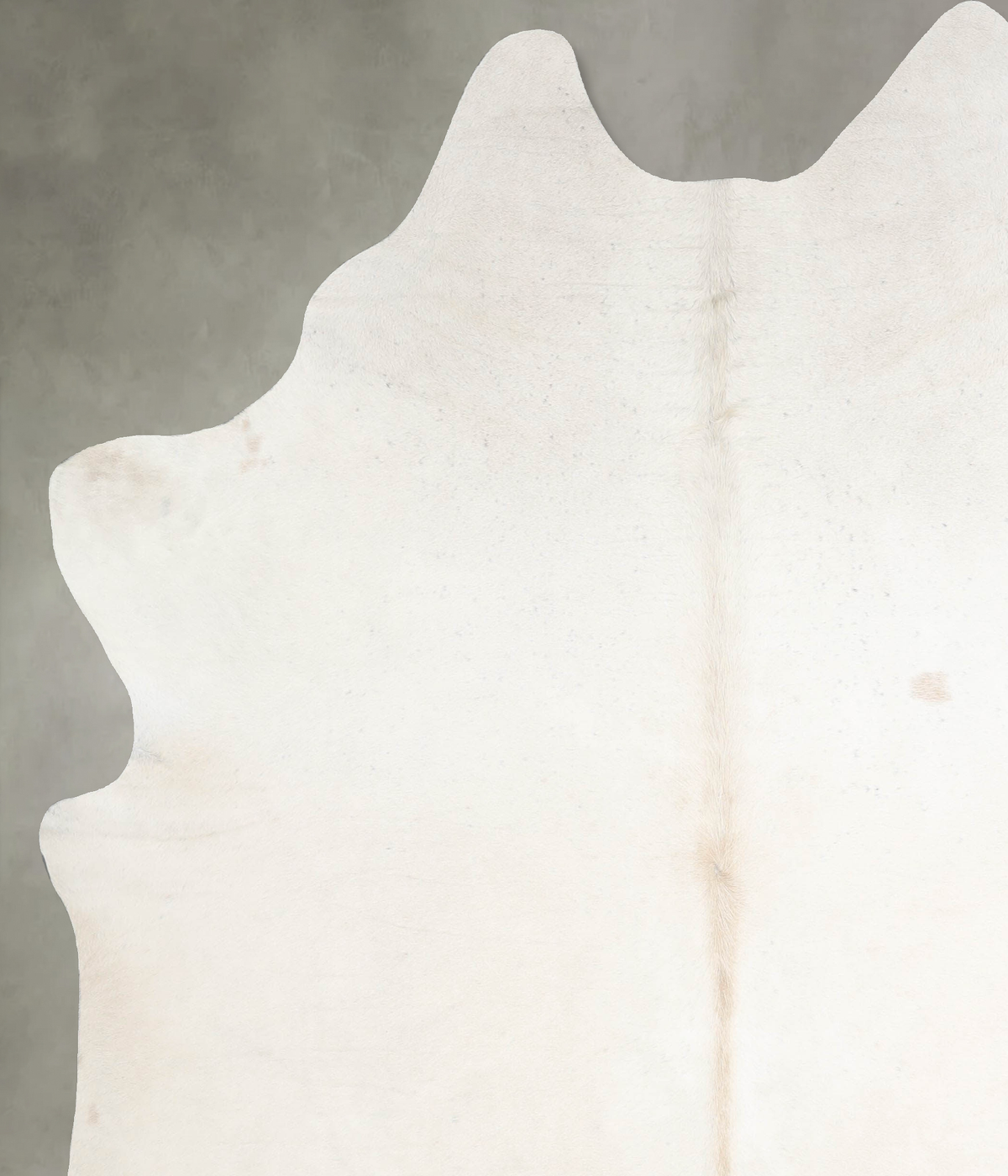 Ivory with Beige XX-Large Brazilian Cowhide Rug 7'9"H x 6'6"W #A55786 by Hudson Hides