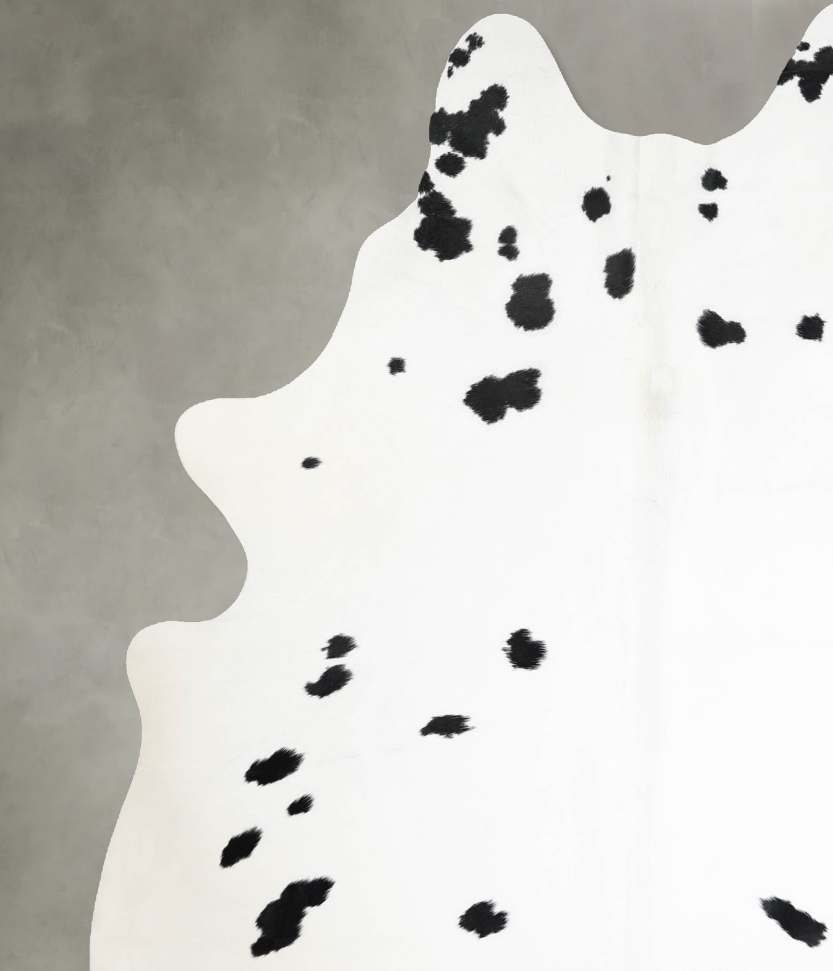 Black and White XX-Large Brazilian Cowhide Rug 8'6"H x 7'0"W #A55787 by Hudson Hides