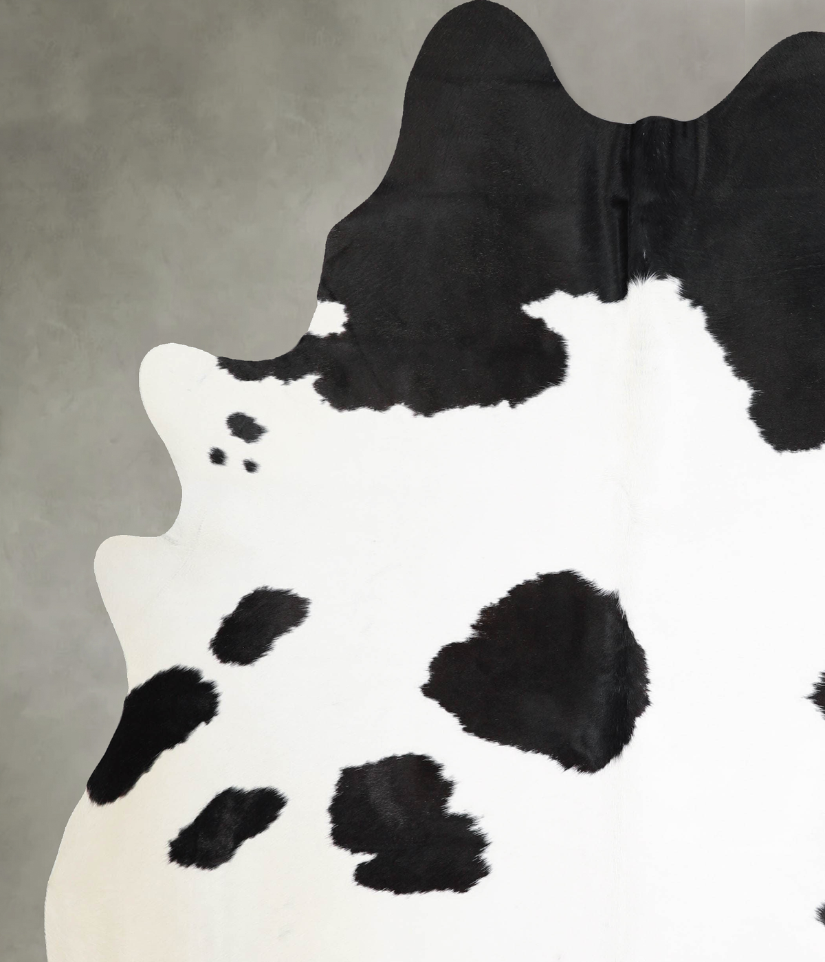 Black and White XX-Large Brazilian Cowhide Rug 7'11"H x 6'6"W #A55789 by Hudson Hides