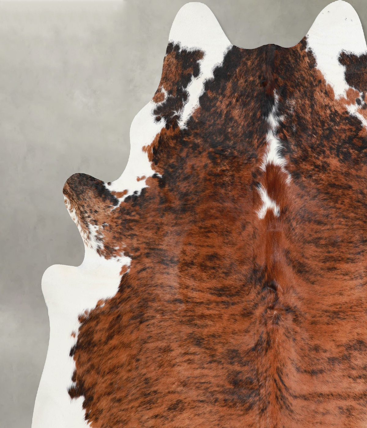 Medium Brindle XX-Large Brazilian Cowhide Rug 7'6"H x 6'10"W #A55790 by Hudson Hides