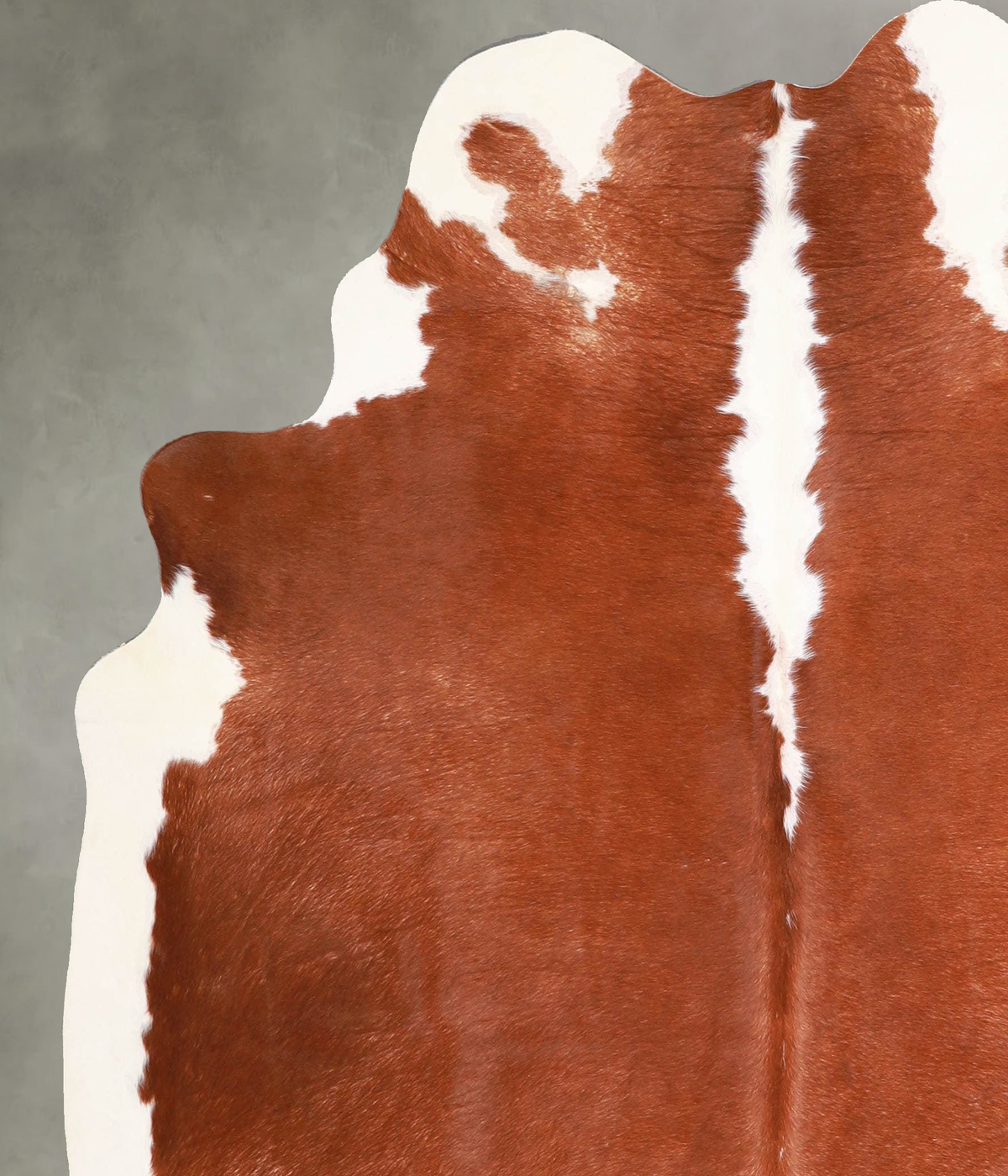 Hereford Large Brazilian Cowhide Rug 6'4"H x 5'6"W #A55791 by Hudson Hides