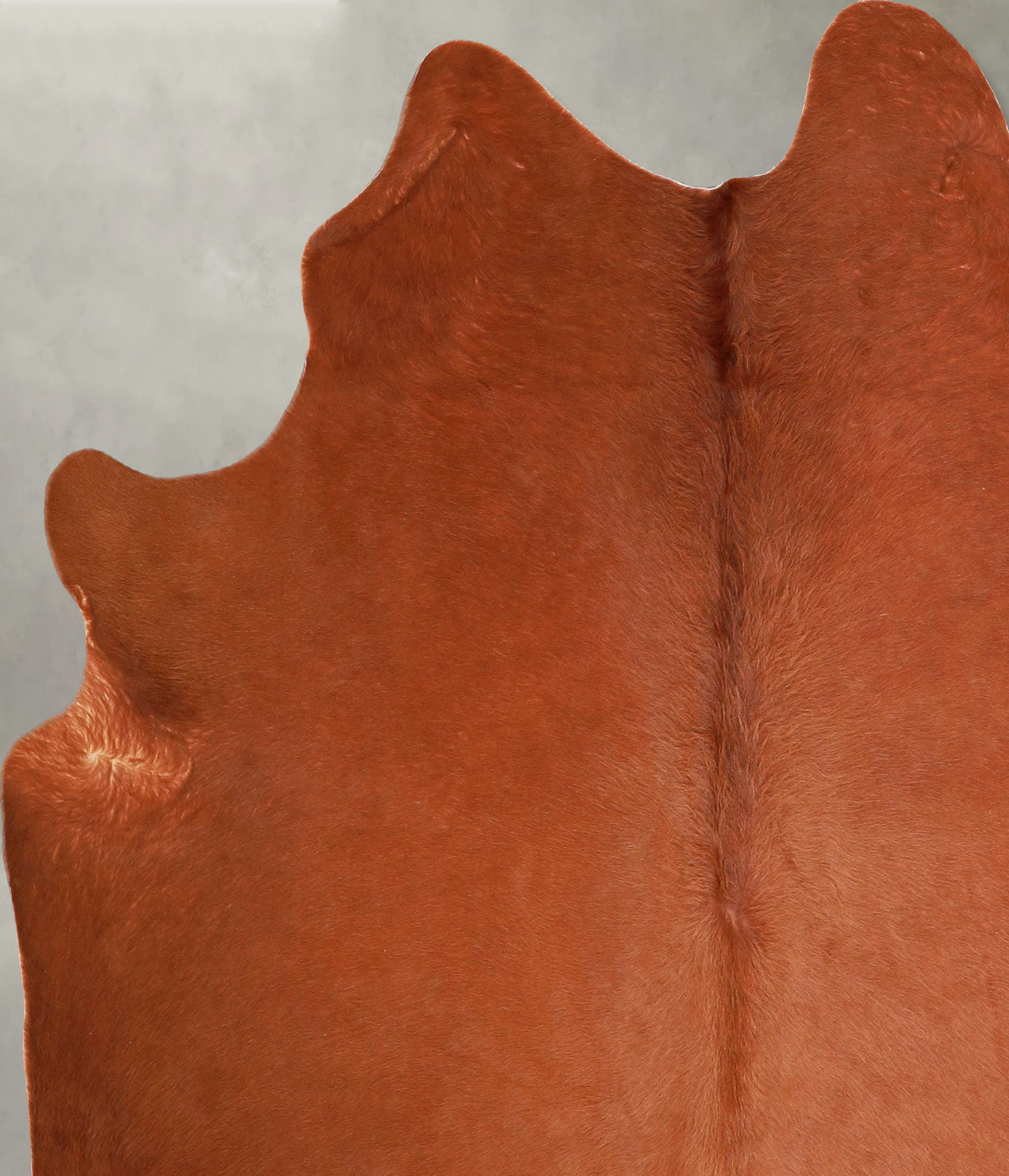 Solid Brown Large Brazilian Cowhide Rug 6'4"H x 5'10"W #A55792 by Hudson Hides