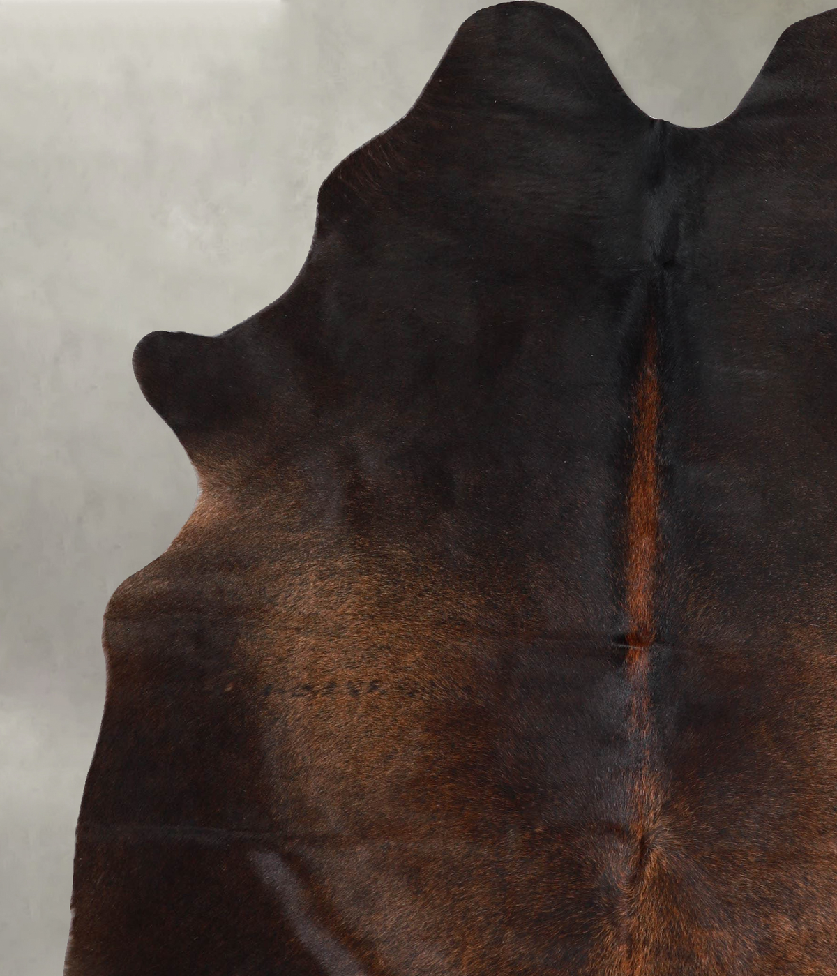 Chocolate X-Large Brazilian Cowhide Rug 7'2"H x 5'7"W #A55795 by Hudson Hides