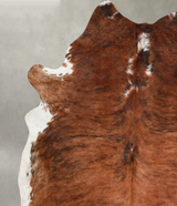 Medium Brindle X-Large Brazilian Cowhide Rug 7'2"H x 6'4"W #A55813 by Hudson Hides