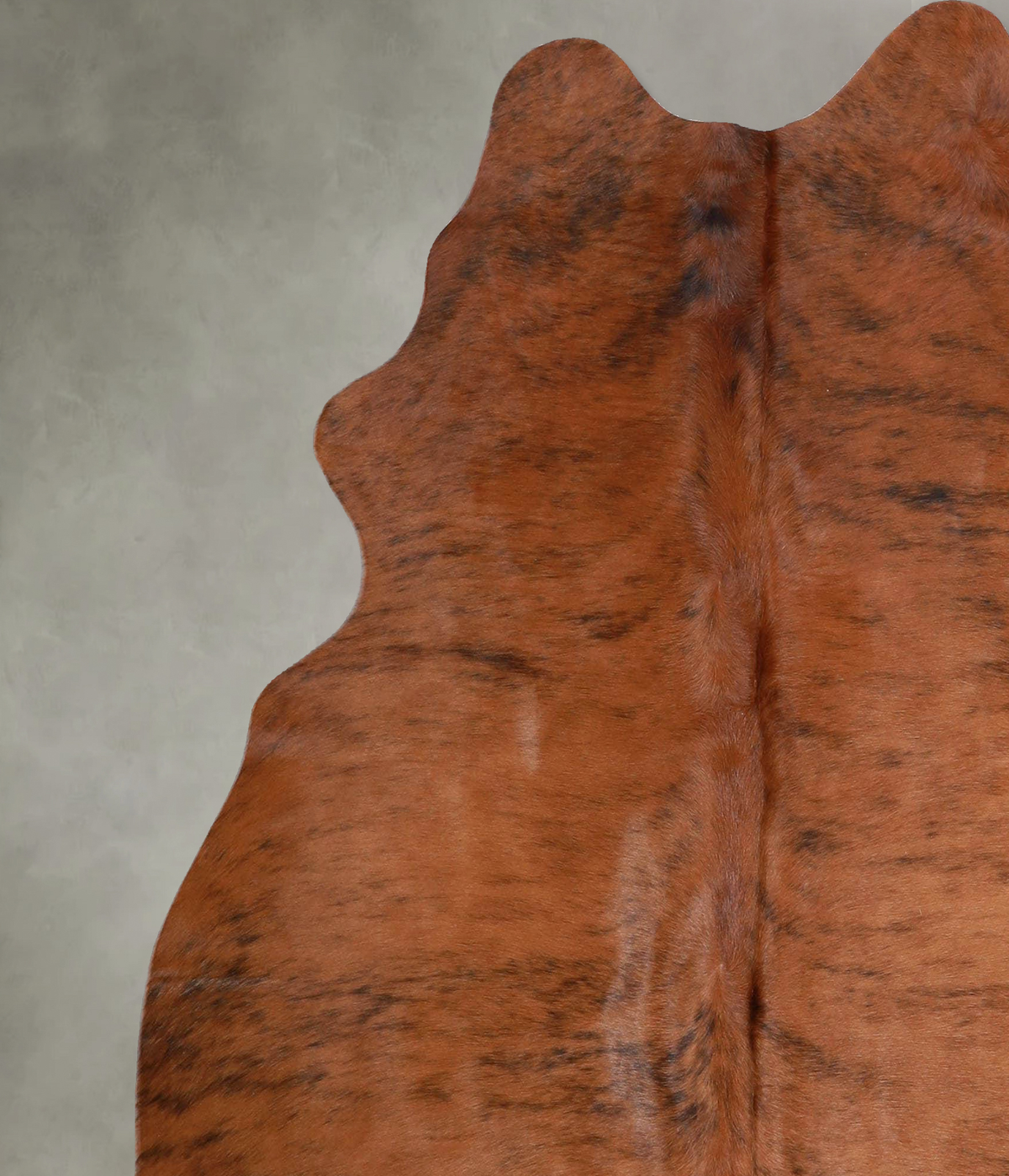 Medium Brindle Large Brazilian Cowhide Rug 5'9"H x 5'3"W #A55814 by Hudson Hides
