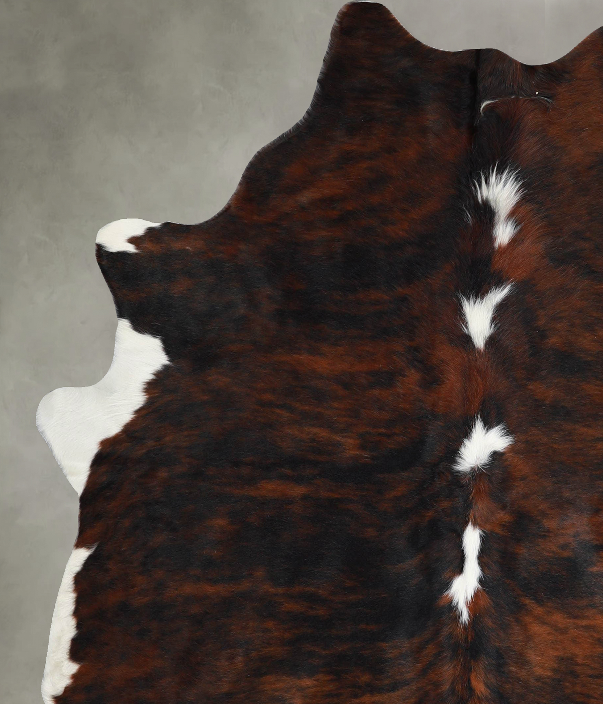Tricolor Large Brazilian Cowhide Rug 7'0"H x 5'8"W #A55816 by Hudson Hides