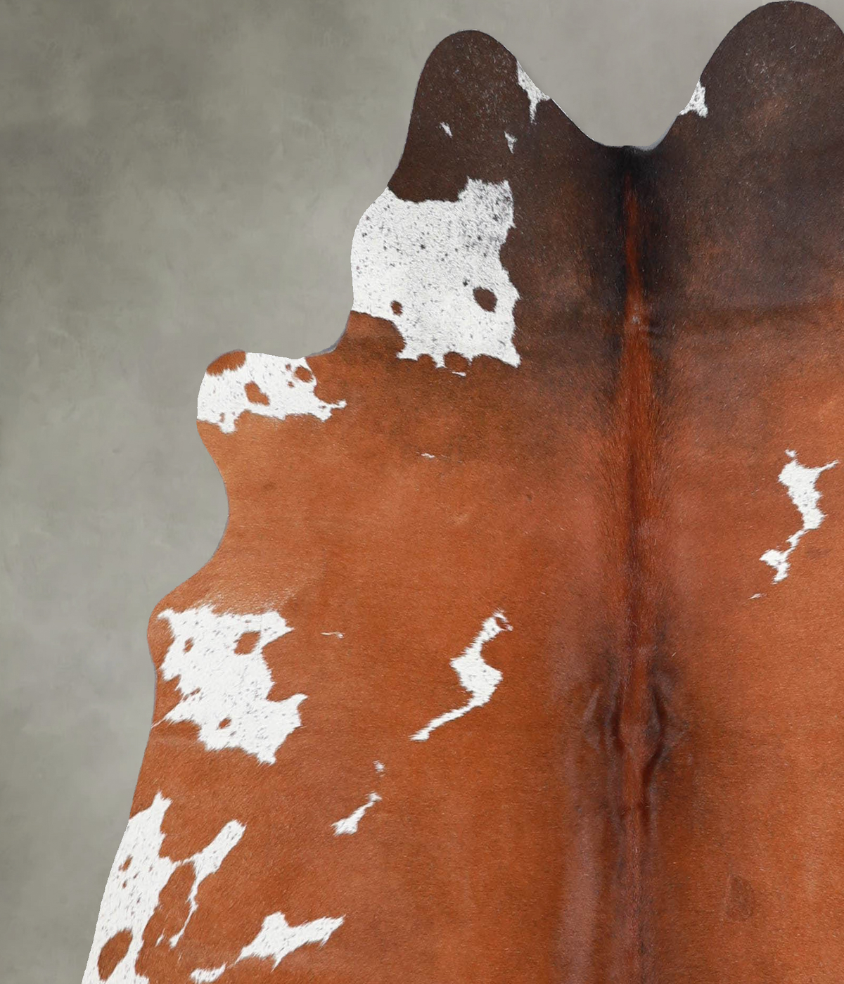 Brown and White Regular Medium Brazilian Cowhide Rug 5'2"H x 4'11"W #A55818 by Hudson Hides
