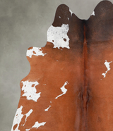 Brown and White Regular Medium Brazilian Cowhide Rug 5'2"H x 4'11"W #A55818 by Hudson Hides