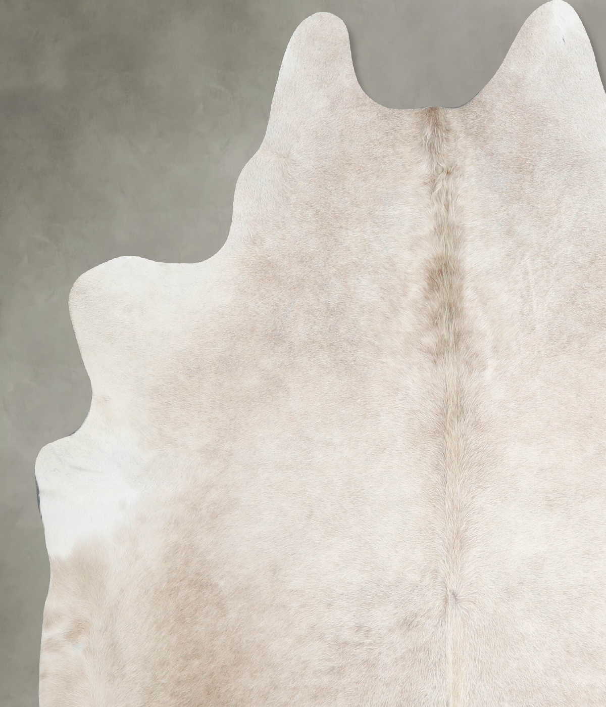 Champagne X-Large Brazilian Cowhide Rug 7'0"H x 6'1"W #A55825 by Hudson Hides