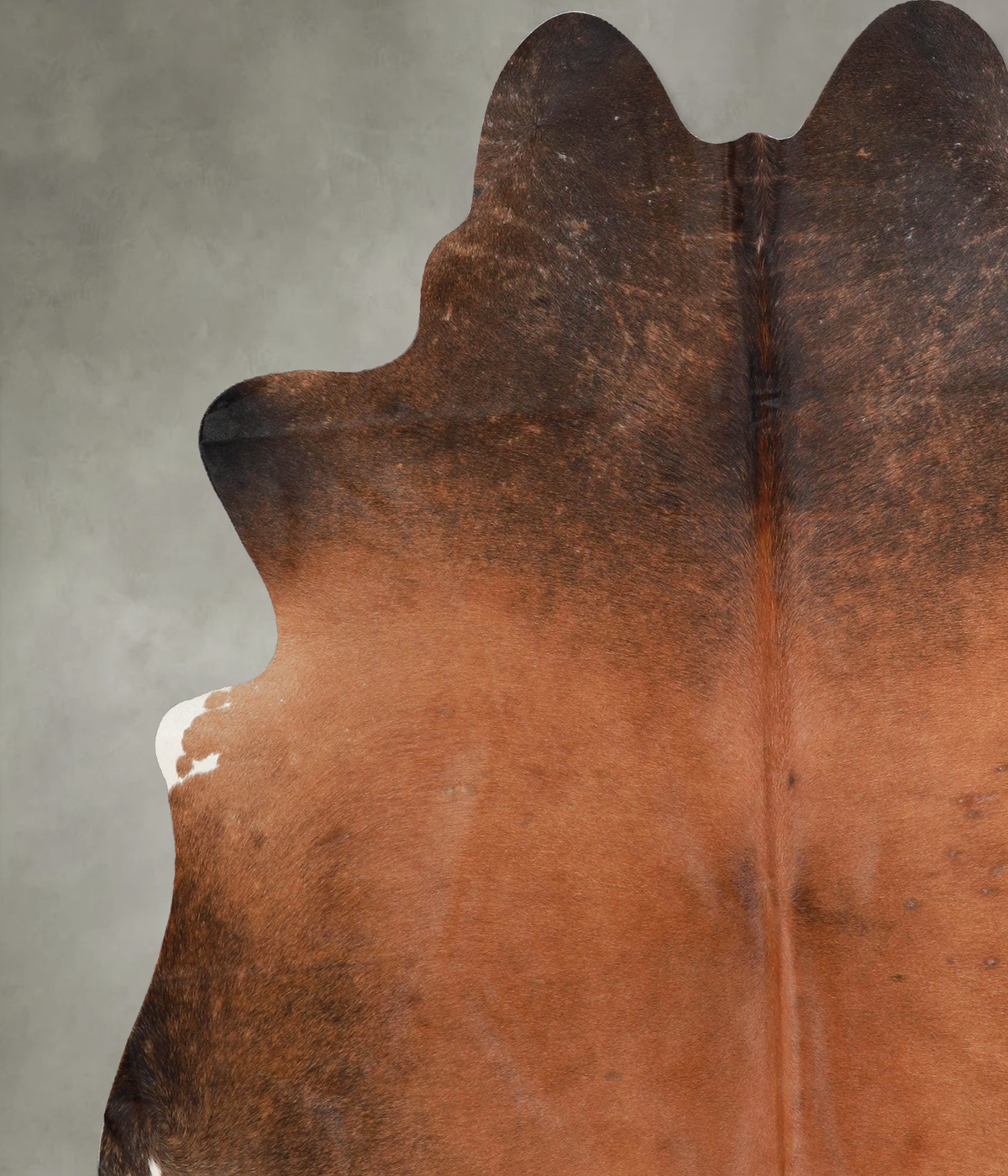 Warm Caramel X-Large Brazilian Cowhide Rug 7'1"H x 6'4"W #A55832 by Hudson Hides