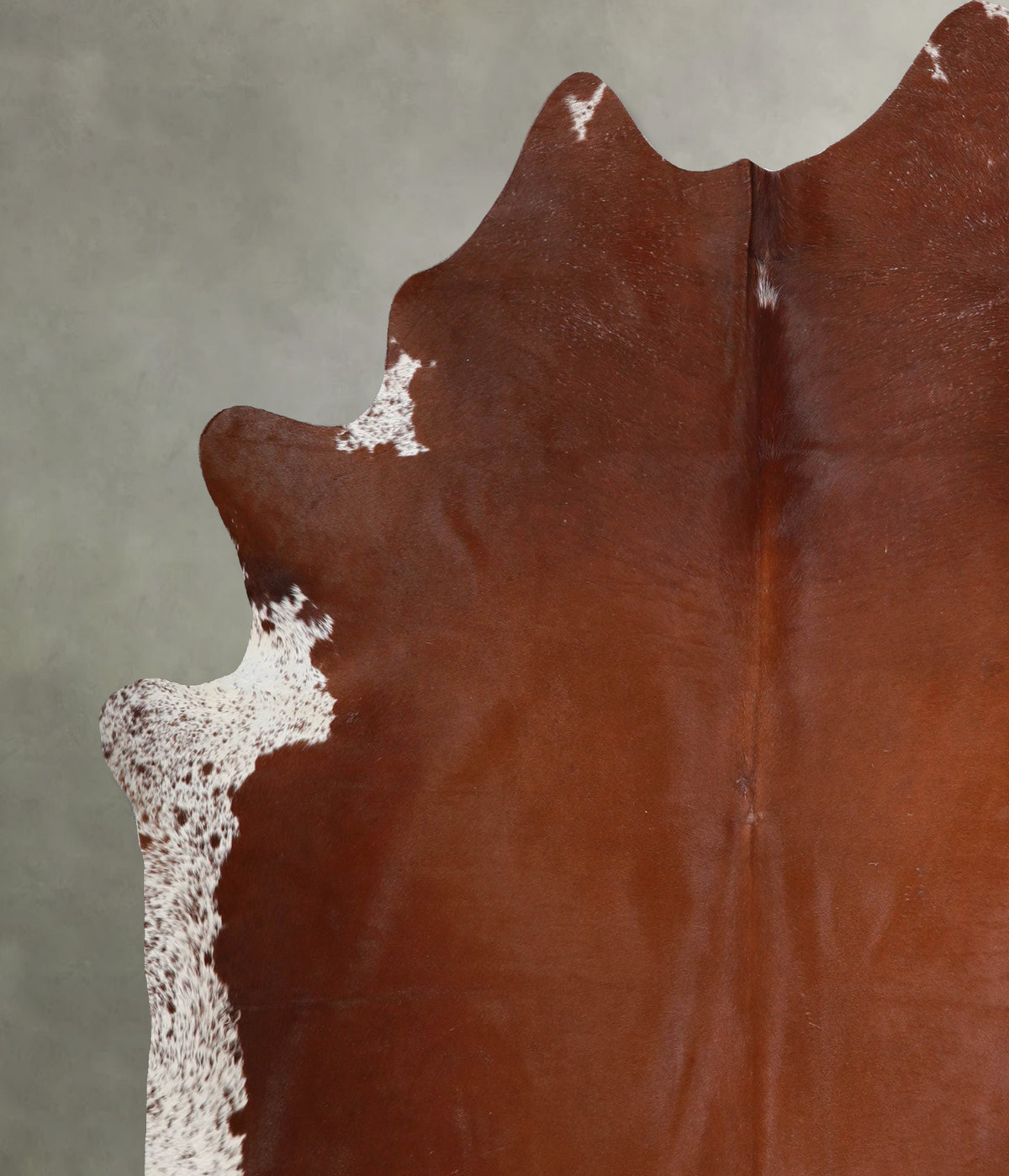 Brown and White Regular XX-Large Brazilian Cowhide Rug 7'3"H x 6'11"W #A55833 by Hudson Hides