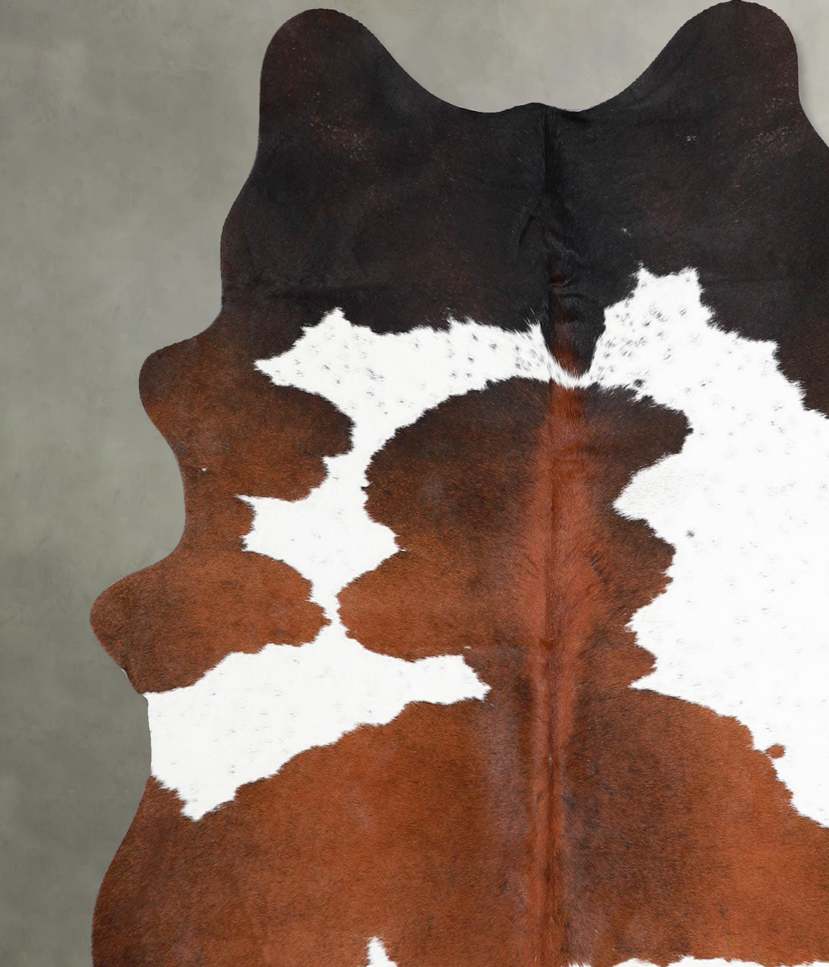 Chocolate and White Medium Brazilian Cowhide Rug 5'9"H x 5'2"W #A55843 by Hudson Hides