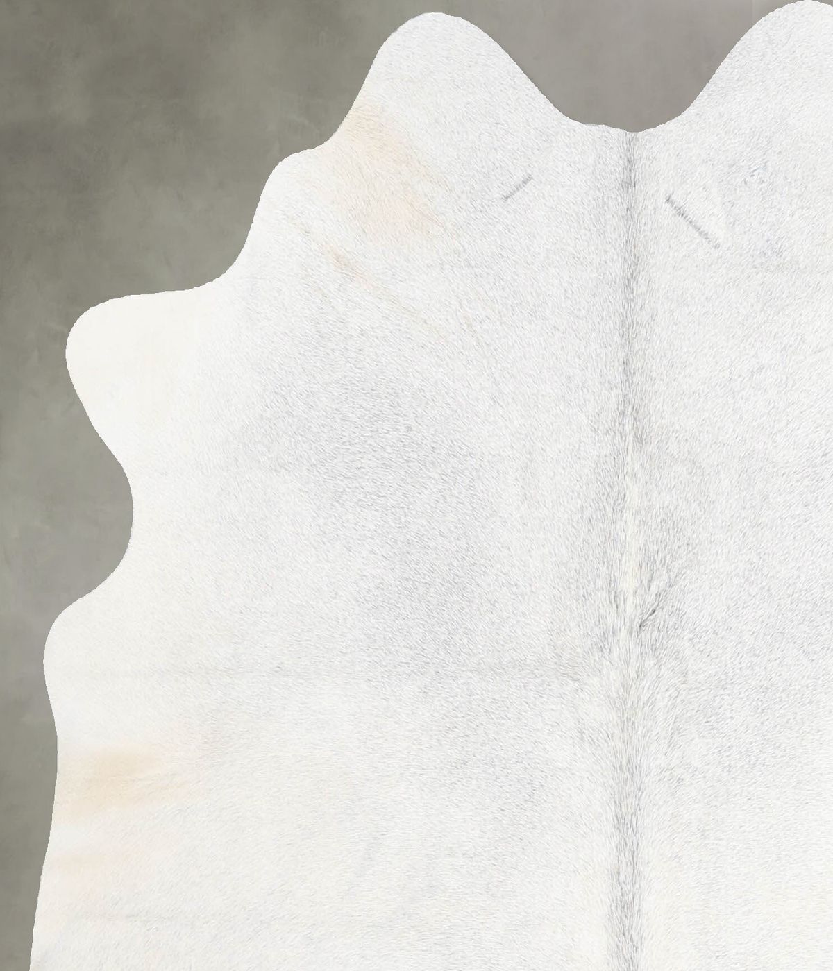 Light Grey Medium Brazilian Cowhide Rug 4'9"H x 4'7"W #A55850 by Hudson Hides