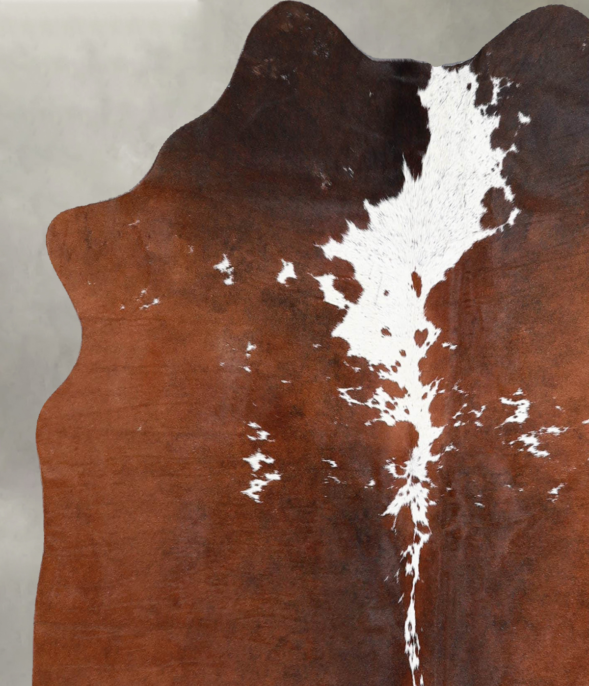 Brown and White Regular Medium Brazilian Cowhide Rug 4'11"H x 4'5"W #A55853 by Hudson Hides