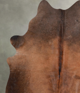 Warm Caramel Medium Brazilian Cowhide Rug 5'7"H x 4'10"W #A55858 by Hudson Hides