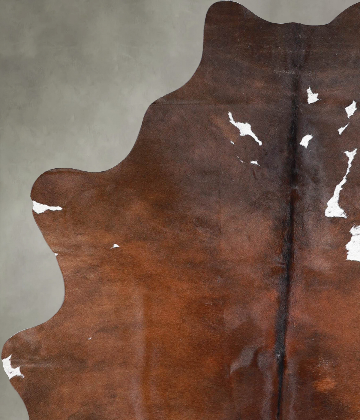 Chocolate and White Medium Brazilian Cowhide Rug 5'6"H x 4'2"W #A55860 by Hudson Hides