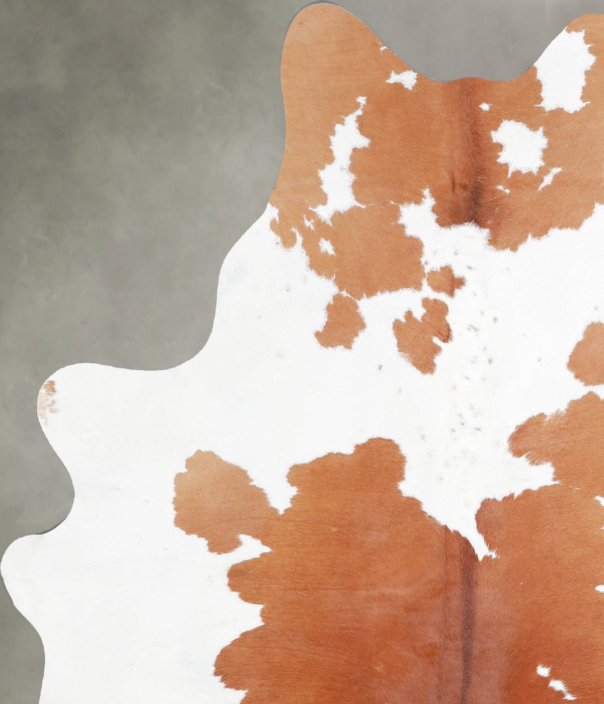 Brown and White Medium Brazilian Cowhide Rug 5'11"H x 4'11"W #A55861 by Hudson Hides