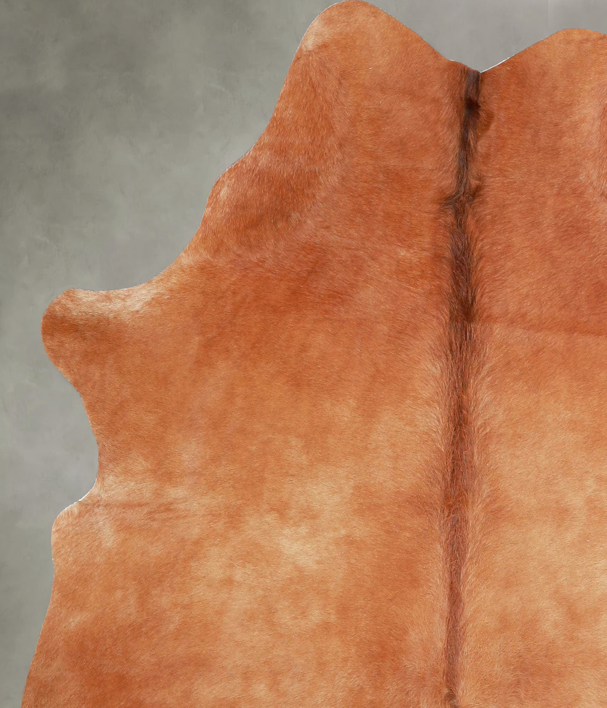 Solid Brown Medium Brazilian Cowhide Rug 5'7"H x 5'1"W #A55867 by Hudson Hides