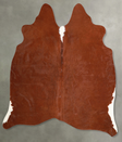 Brown and White Regular Large Brazilian Cowhide Rug 5'4"H x 5'8"W #A55868 by Hudson Hides