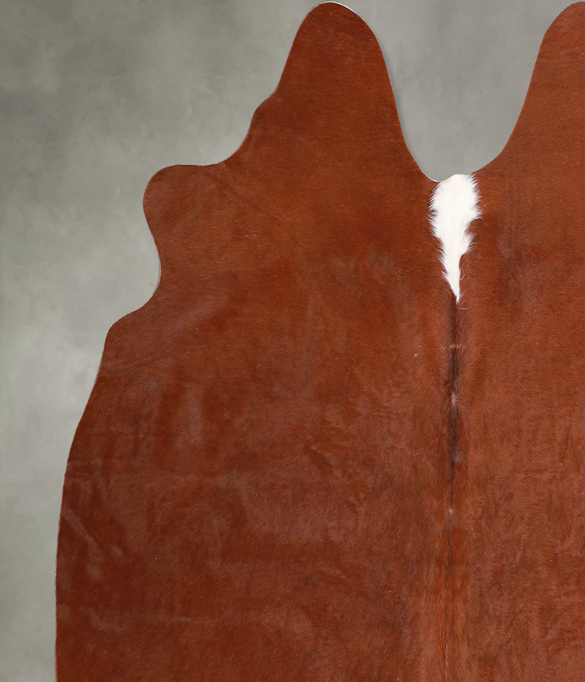 Brown and White Regular Large Brazilian Cowhide Rug 5'4"H x 5'8"W #A55868 by Hudson Hides
