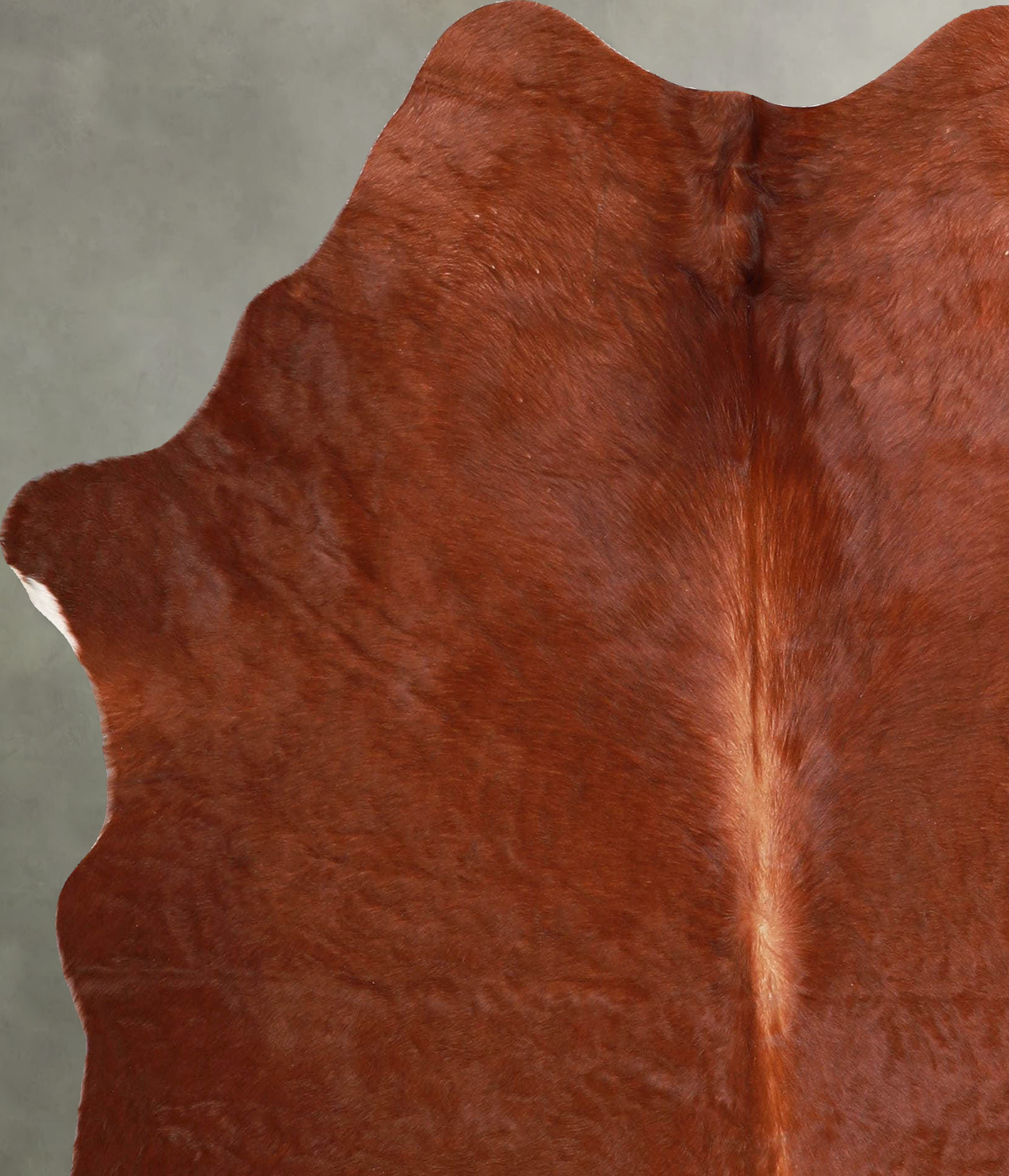 Solid Brown Medium Brazilian Cowhide Rug 5'7"H x 5'1"W #A55869 by Hudson Hides