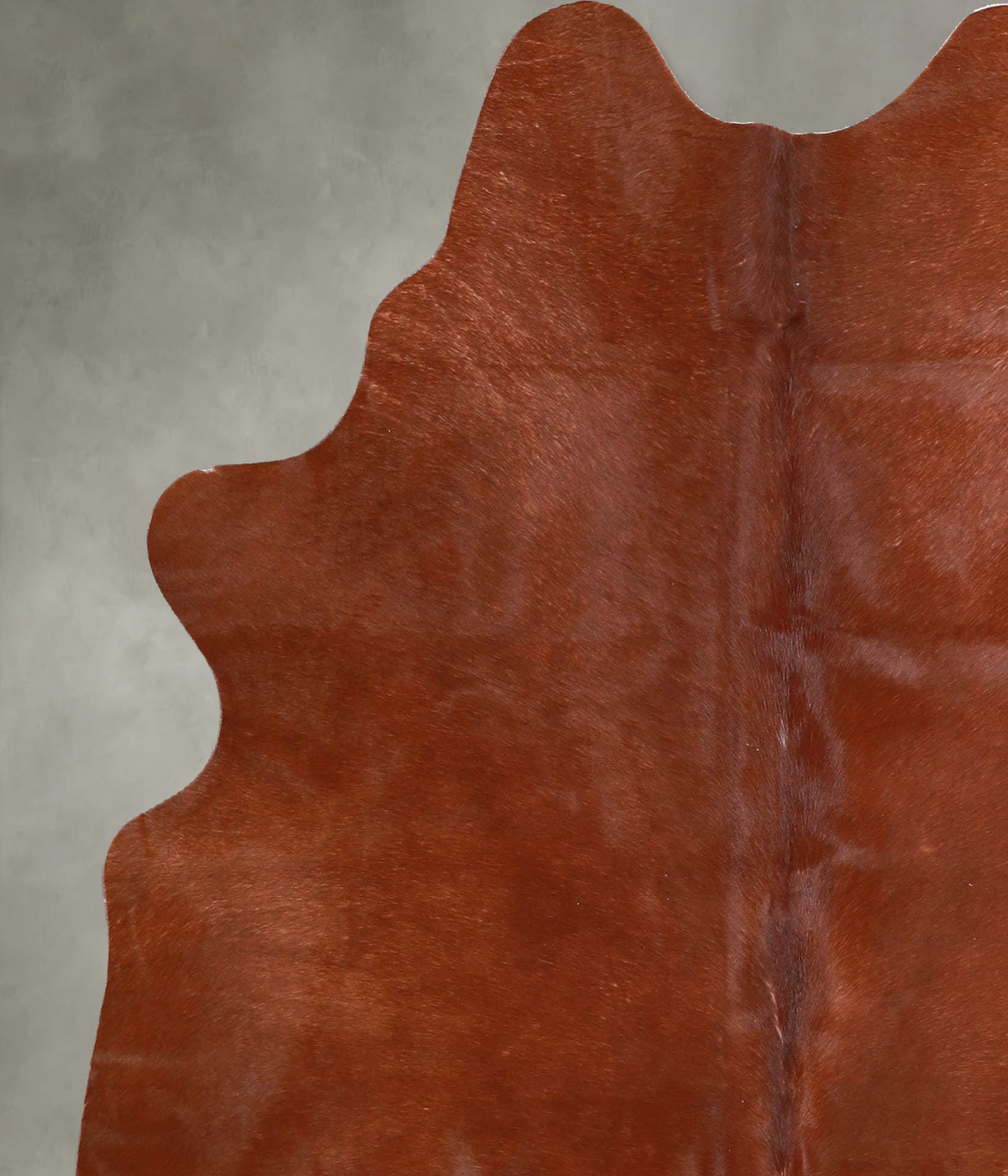 Solid Brown Medium Brazilian Cowhide Rug 5'6"H x 5'2"W #A55870 by Hudson Hides