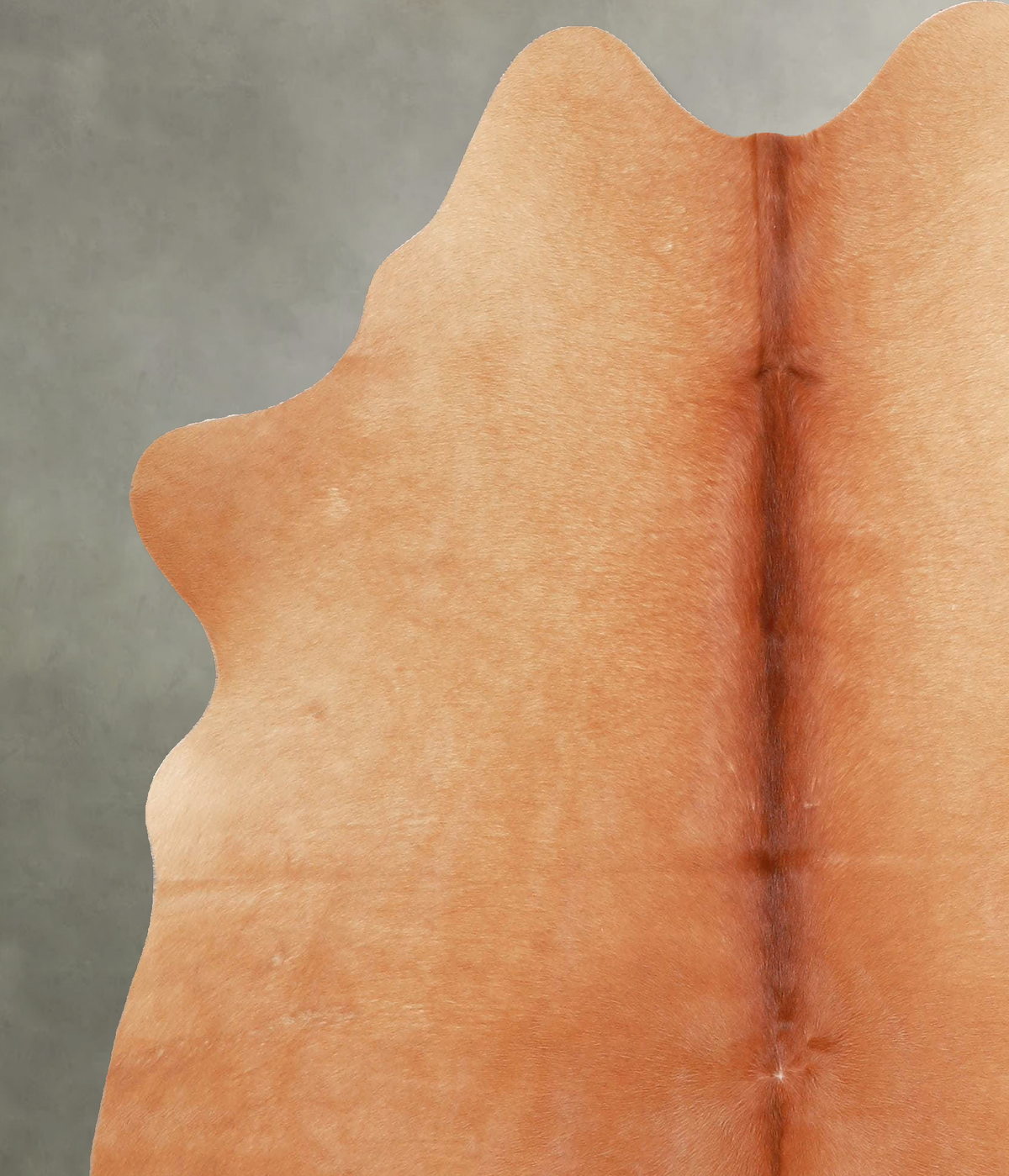 Solid Brown Medium Brazilian Cowhide Rug 5'7"H x 5'2"W #A55871 by Hudson Hides