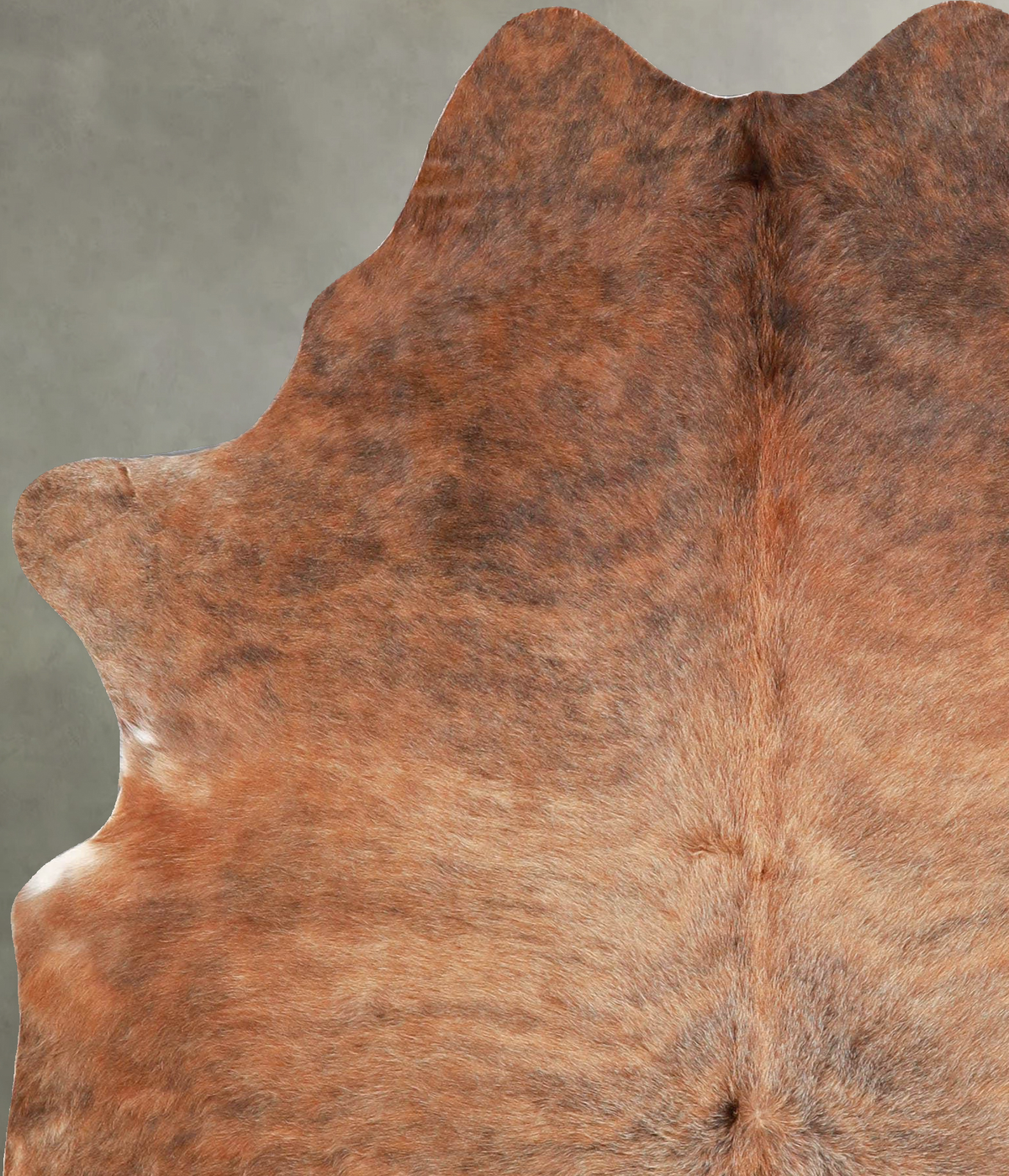 Medium Brindle Medium Brazilian Cowhide Rug 5'10"H x 4'9"W #A55873 by Hudson Hides
